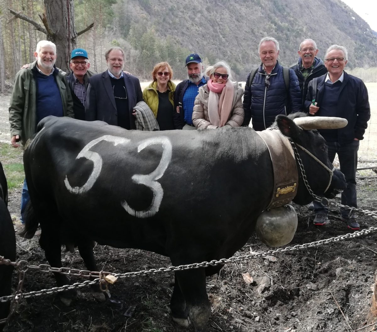 Ausflug an Kuhkampf in Raron